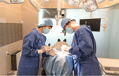 各専門分野のエキスパートが高度な治療に対応いたします